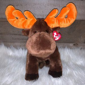 Ty Buddy: Chocolate the Moose | Stuffed Animal